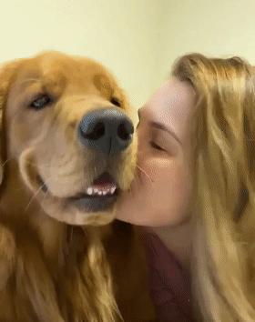 時(shí)代潮流還是陷阱？深度解讀最新趨勢(shì)背后的真相